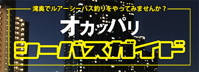 オカッパリシーバスガイド初心者向け