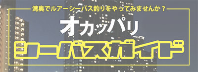 オカッパリシーバスガイド初心者向け